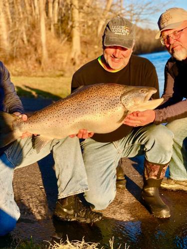 New Missouri State Record Brown Trout Caught on PJ's Jig